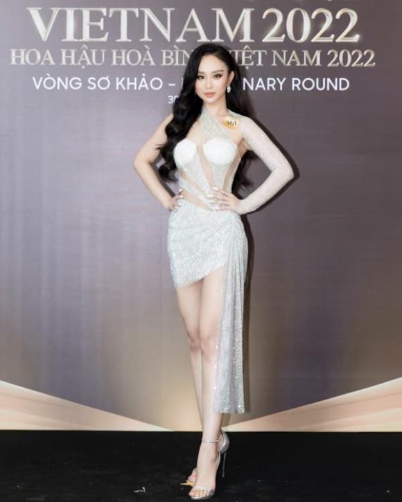Miss Grand Vietnam 2022, sao Việt