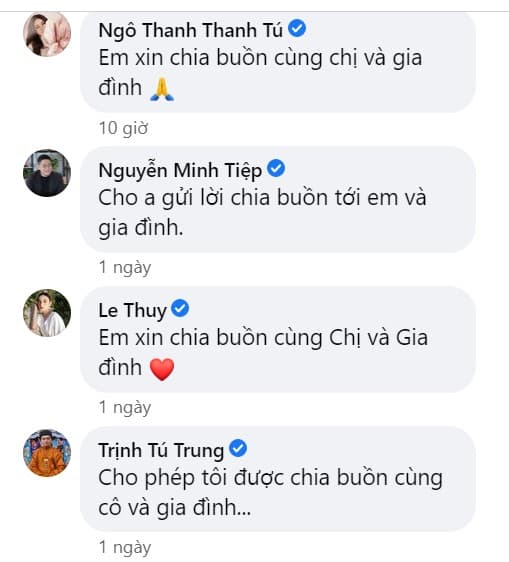 Mai Phương Thúy, Hoa hậu Mai Phương Thúy, sao Việt