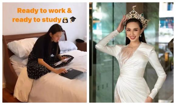 chủ tịch miss grand, sao việt, miss universe