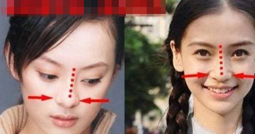 tướng mặt, tử vi, tướng mũi, đặc điểm mũi