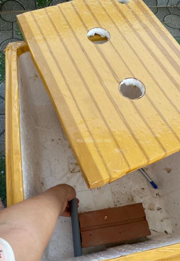trồng cây, trồng cây bằng thùng xốp, kiến thức 