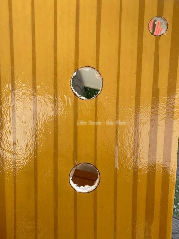trồng cây, trồng cây bằng thùng xốp, kiến thức 
