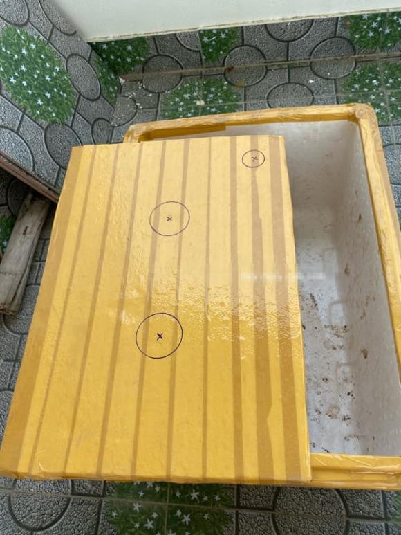 trồng cây, trồng cây bằng thùng xốp, kiến thức 
