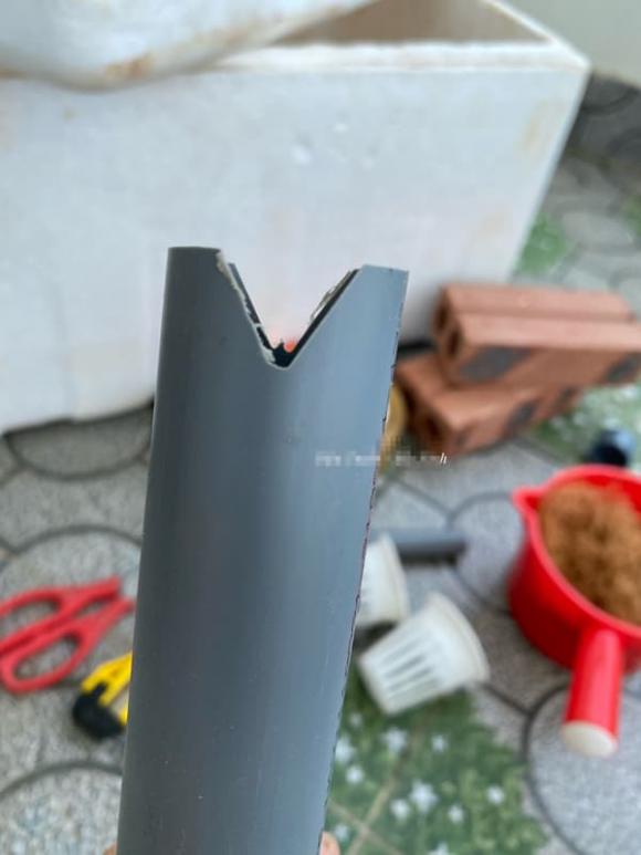 trồng cây, trồng cây bằng thùng xốp, kiến thức 