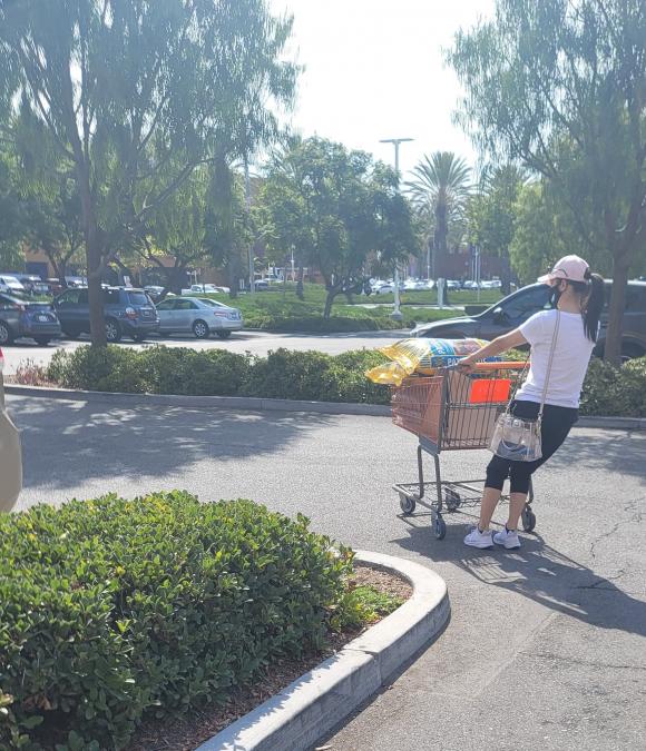 ông bầu Dũng Taylor, ca sĩ Thu Phương,sao Việt