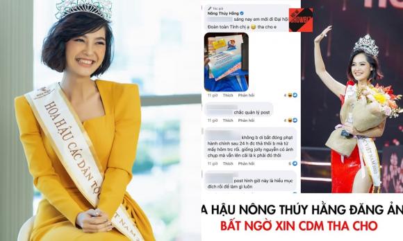 Nông Thúy Hằng, sao Việt, Hoa hậu các Dân tộc Việt Nam