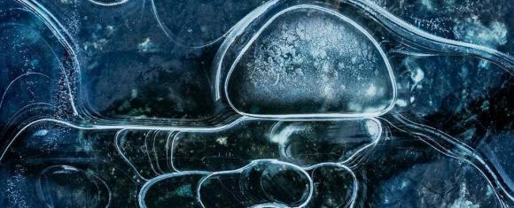 Hồ Epishof, Bắc Cực, Bắc Băng Dương, virus khổng lồ