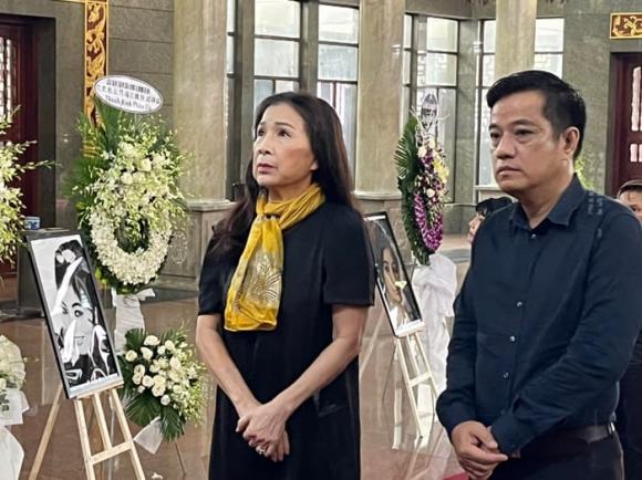 minh tinh Thẩm Thúy Hằng, sao Việt