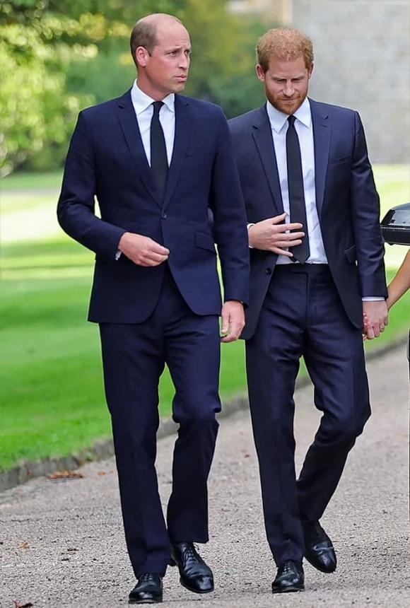 William, Harry, sao Hollywood