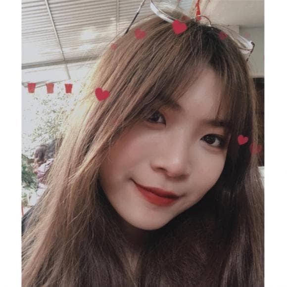 Tiến Minh, con gái Tiến Minh, sao việt 