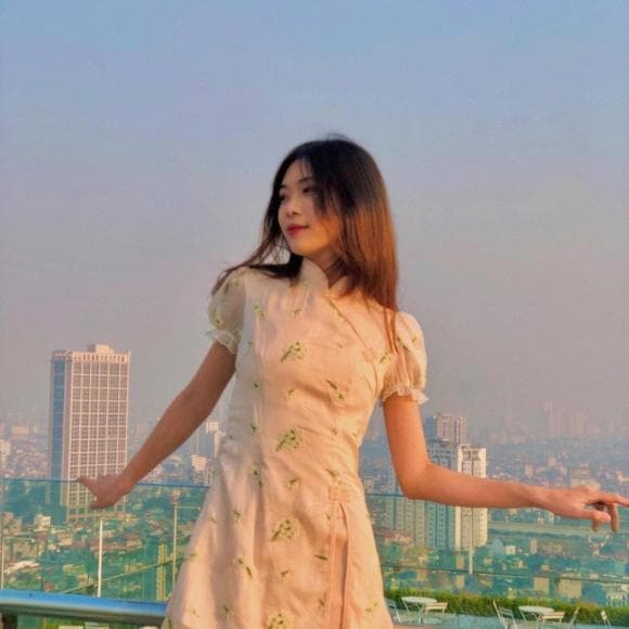 Tiến Minh, con gái Tiến Minh, sao việt 