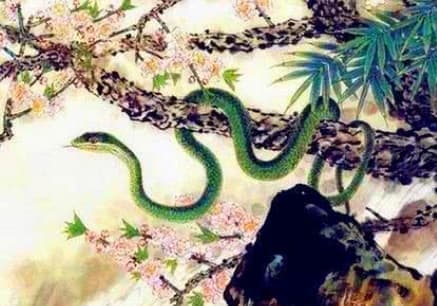 tử vi, con giáp, tử vi năm 2023