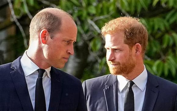 William và Harry, William và Harry có tái hợp một lần nữa? sao Hollywood