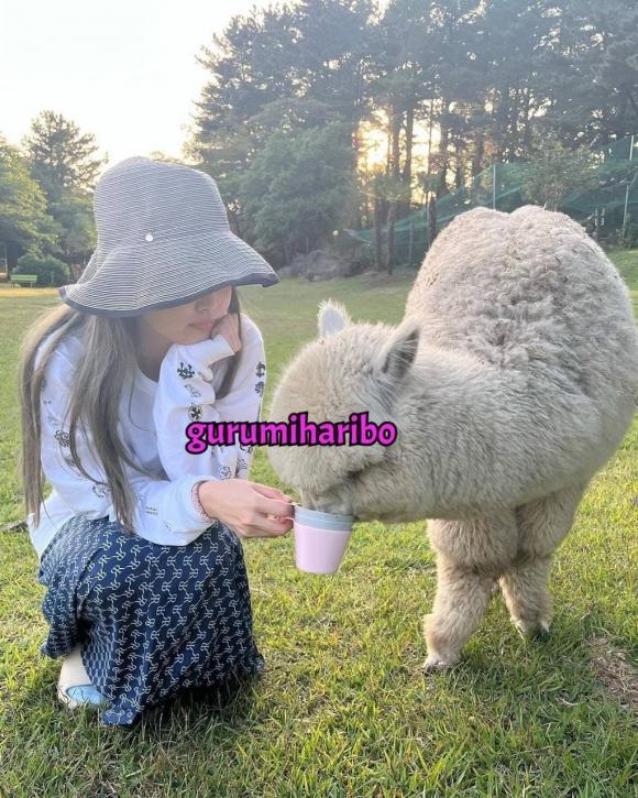V (BTS) và Jennie (Black Pink) hẹn hò, sao Hàn, Kpop