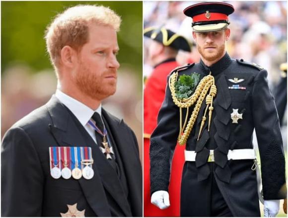 Harry, Công tước xứ Sussex được đặc cách mặc quân phục, sao Hollywood, Hoàng gia