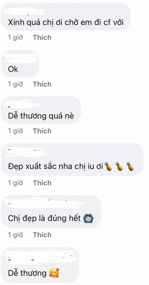 sao Việt, Ca sĩ Hiền Hồ, sao 