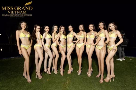 Miss Grand Vietnam 2022, Mai Ngô, sao Việt