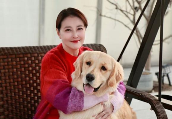  Châu Hải My, sao hoa ngữ, sao TVB