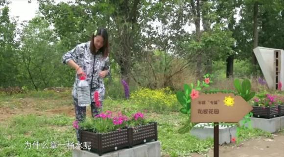  Châu Hải My, sao hoa ngữ, sao TVB