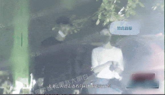 Triệu Lệ Dĩnh, Lâm Canh Tân, sao hoa ngữ