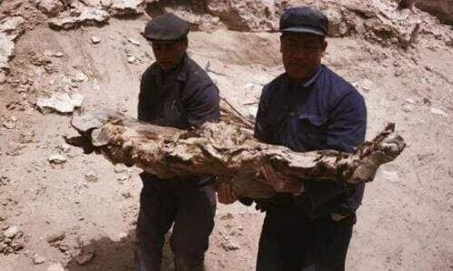 người chết, núi lửa, tử thi, Peru ở Nam Mỹ, Đế chế Inca 