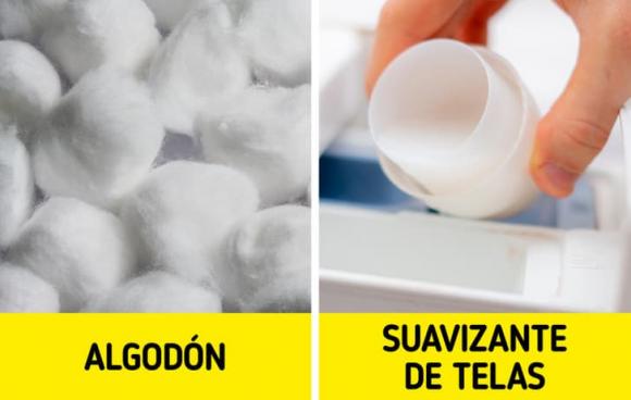 tẩy gối trắng, gối trắng, kiến thức 