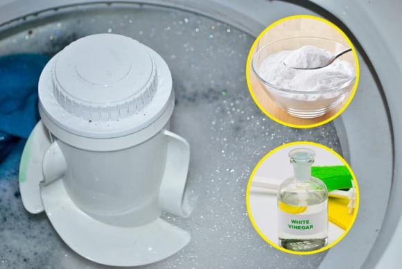 tẩy gối trắng, gối trắng, kiến thức 
