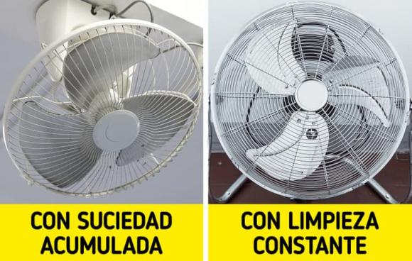 tẩy gối trắng, gối trắng, kiến thức 