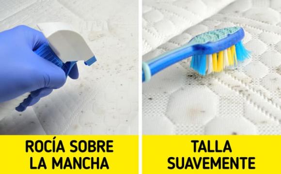 tẩy gối trắng, gối trắng, kiến thức 