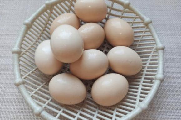 loãng xương, thiếu canxi, bệnh xương khớp