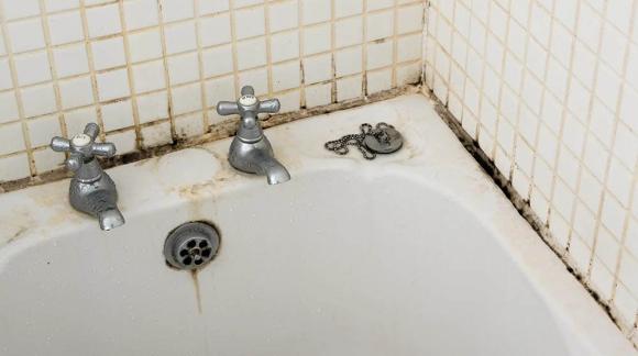 nấm mốc, vệ sinh phòng tắm, cách vệ sinh phòng tắm