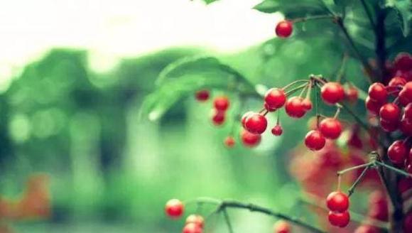 cảnh giác với những người này, chúng ta nên cảnh giác với người này, những người nên cảnh giác
