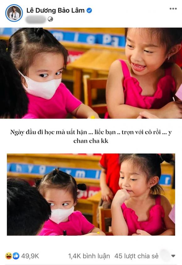 nghệ sĩ Lê Dương Bảo Lâm, sao Việt