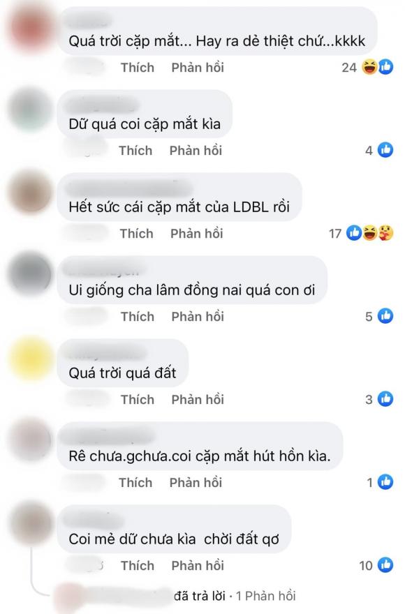 nghệ sĩ Lê Dương Bảo Lâm, sao Việt