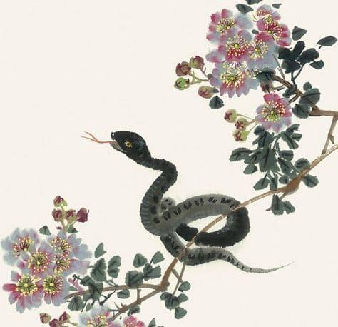 tử vi, con giáp, tử vi ngày 12/10
