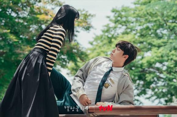 phim Hàn chữa lành, phim K-Drama, phim Hàn hay nhất mùa thu