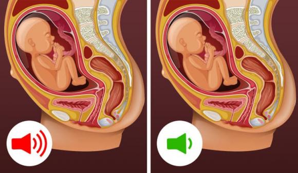 thai nhi, điều cần biết về thai nhi, mang thai