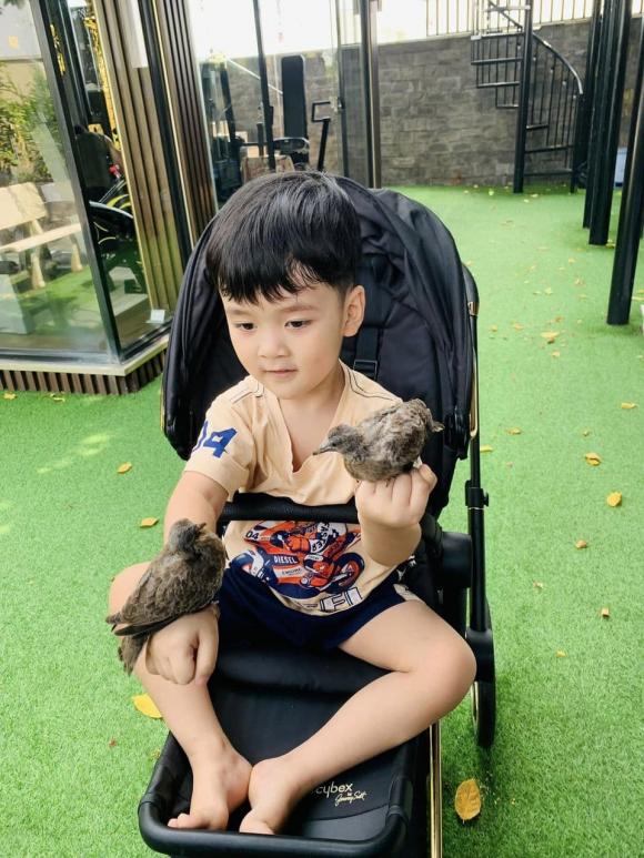 Đàm Vĩnh Hưng, con trai Đàm Vĩnh Hưng, sao Việt