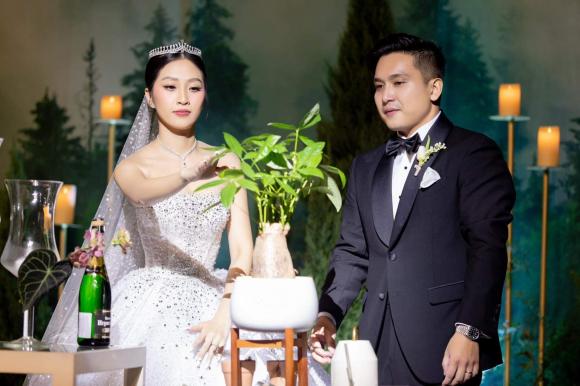 MC Liêu Hà Trinh, sao Việt