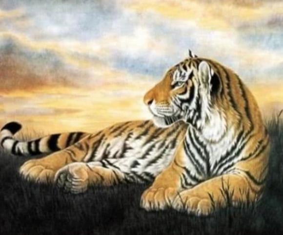 tử vi, con giáp, tử vi ngày 14/10