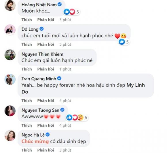 hoa hậu Đỗ Mỹ Linh, sao Việt