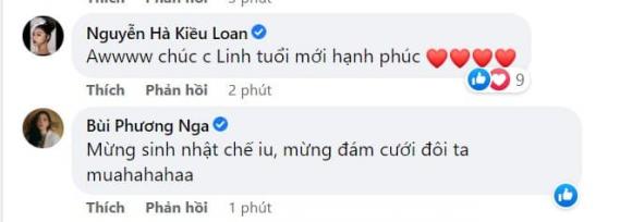 hoa hậu Đỗ Mỹ Linh, sao Việt