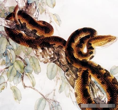 tử vi, con giáp, tử vi ngày 14/10