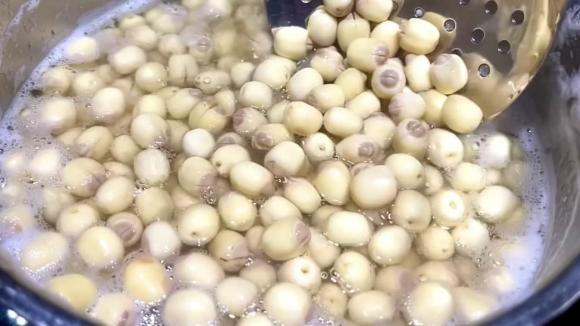 hạt sen tươi, trữ đông hạt sen, hạt sen