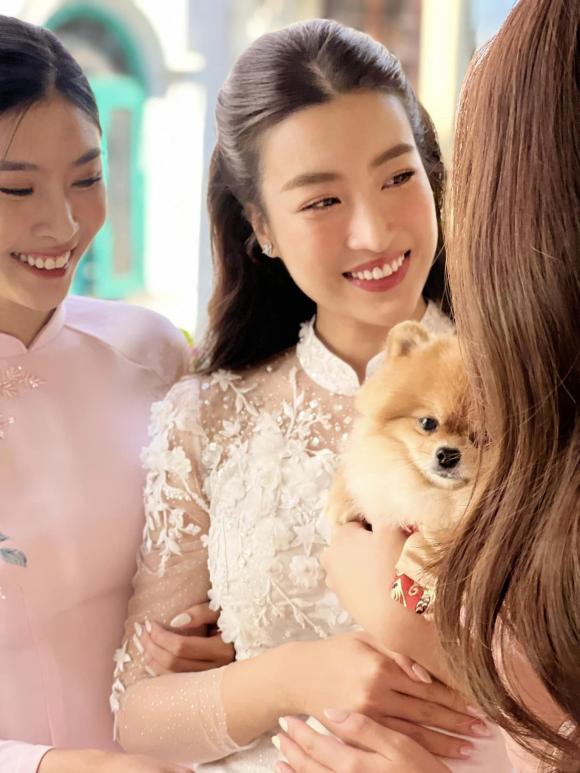  Đỗ Mỹ Linh, lễ ăn hỏi  Đỗ Mỹ Linh, con trai bầu hiển, sao việt 