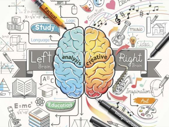 não bộ, bộ não, nghiên cứu mới