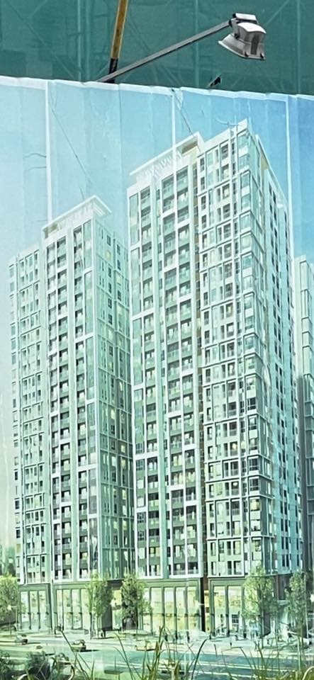 NSƯT Kim Tiểu Long, sao Việt