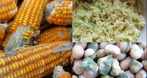  ung thư gan, thực phẩm mốc, đồ ăn độc hại, đồ mốc