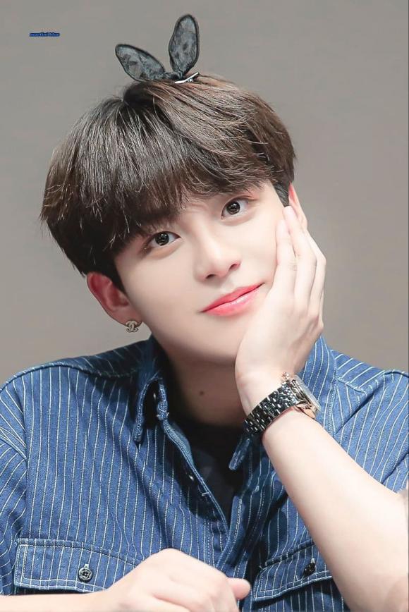 IU, người hâm mộ của IU, sao Hàn 