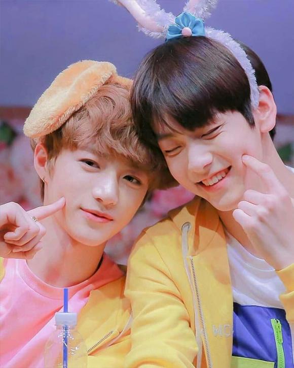 IU, người hâm mộ của IU, sao Hàn 